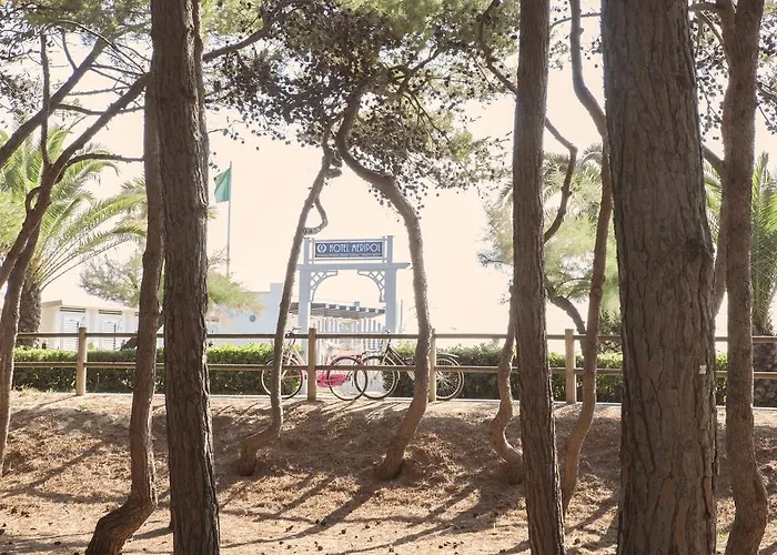 Отель Meripol 4*